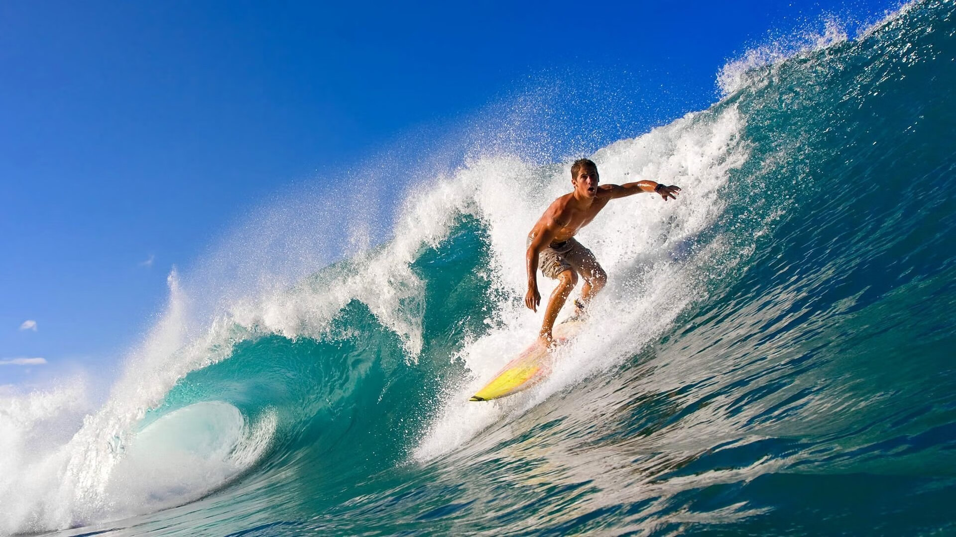 马尔科斯·达尔梅达在2024年南美锦标赛中夺得男子反曲弓金牌